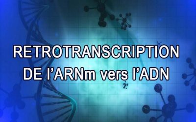 Retrotranscription de l’ARNm des vaccins : un début de preuve in vitro